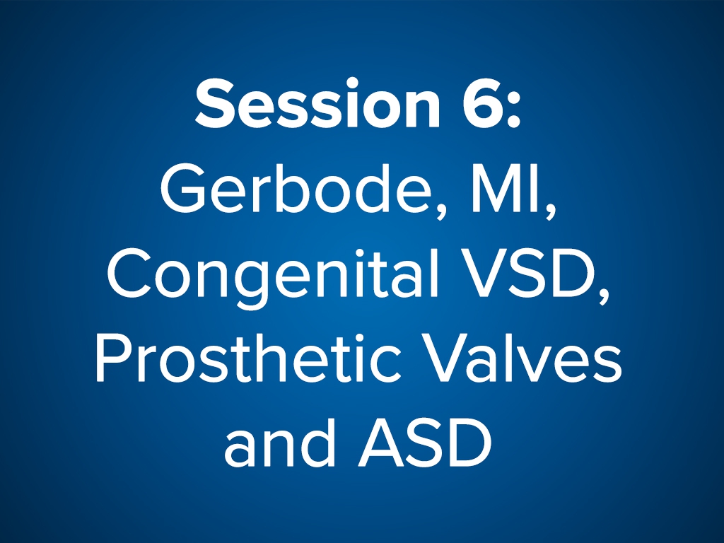 Session 6: Gerbode, MI, Congenital VSD, Prosthetic Valves & ASD (Free)