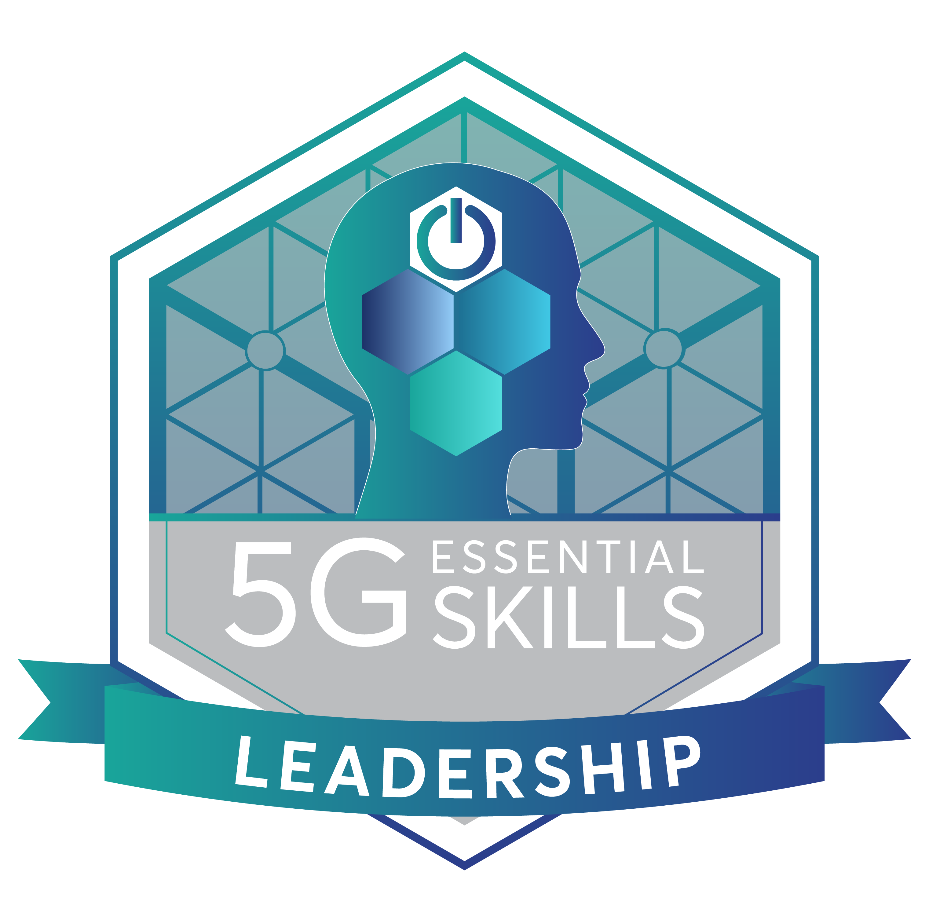 5G Leadership Skills for Business Professionals